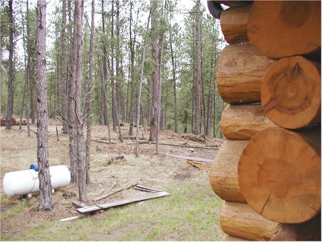 Trails End Lodge Custer Quarto foto